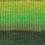 Merino 120 Dégradé LANG
